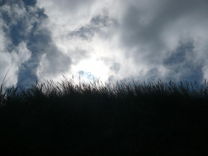 heaven can wait 27.jpg